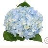 jennifer_brost